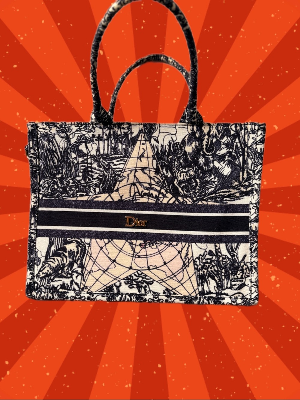 Navy & White Book Tote